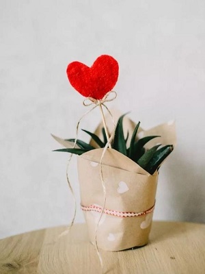 终于，我学会了感恩