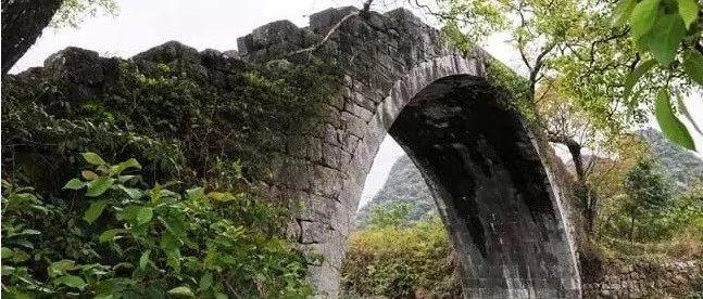 你从彼岸俯身，脚跟钉于泥土