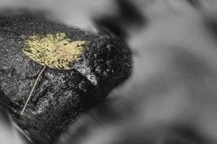拆了那些丑陋的补丁，让骨头赤裸面对灵魂