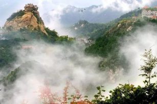 鸡公山的花果