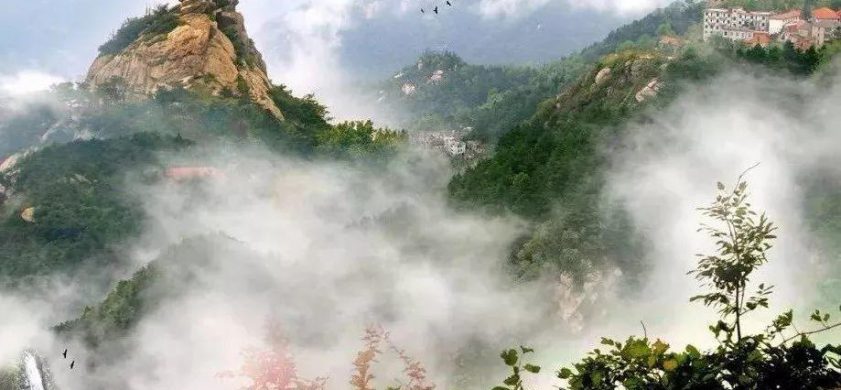 鸡公山的花果