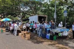 看！那群傻傻的乡民