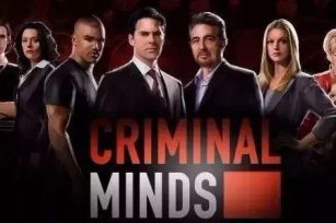 穿越犯罪心理的迷宫