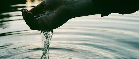 我是你失落的铜钱、迷路的羊羔