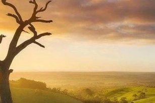 柳暗花明主引导