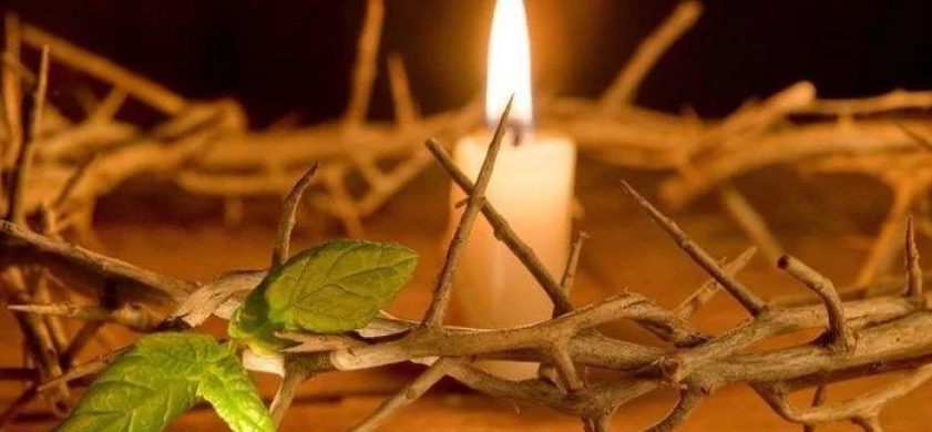 我是你面向世界打开的一扇窗