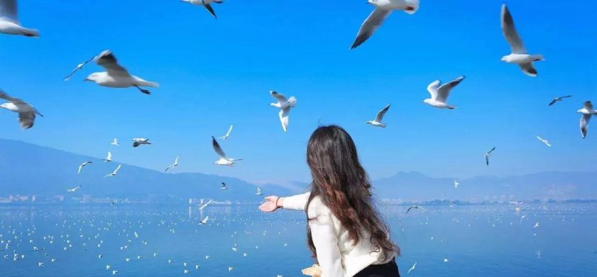 等候你来临（外二首）