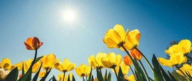 两千年前的那个春天