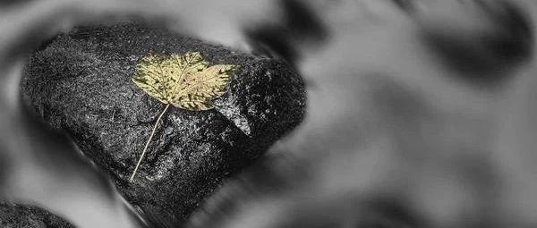 拆了那些丑陋的补丁，让骨头赤裸面对灵魂