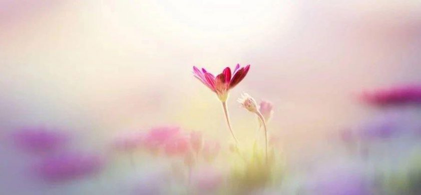 被火煽动而充满热心