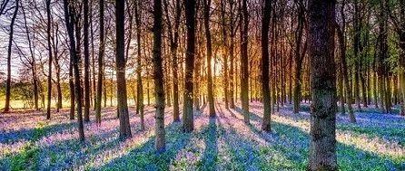 拿起文字的拐杖，继续打扫荒芜的庭院