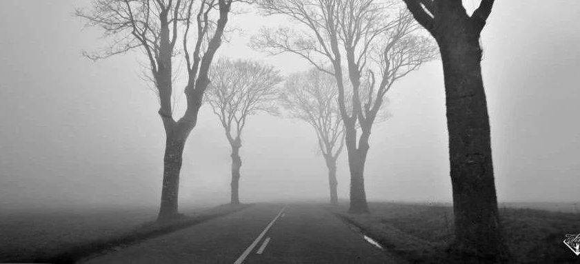 在朴素的法庭上，我低下了头