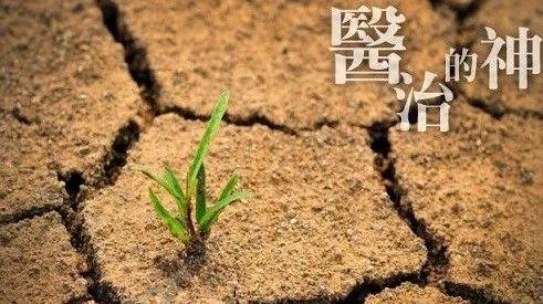 见证 | 十几年的痼疾，竟这样痊愈了！