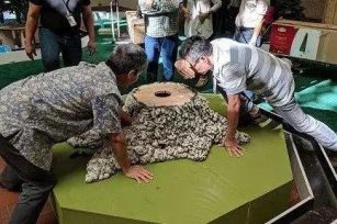 想象力加执行力，平凡变卓越！