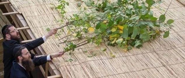 三只小猪与住棚节