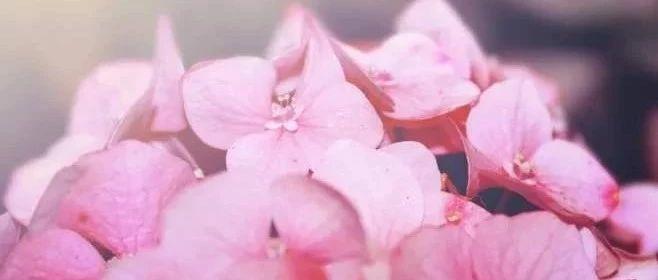 人生灰色地带