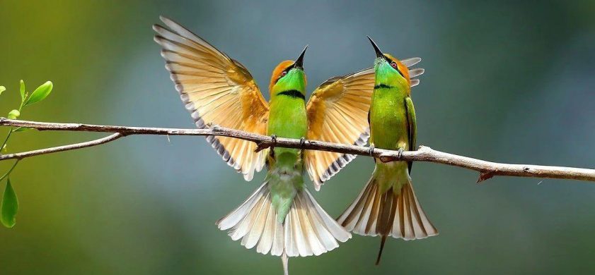 我是上帝的宠儿