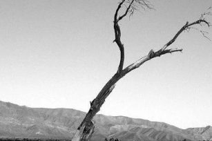 生查子·哈巴谷书 | 点绛唇·西番雅书