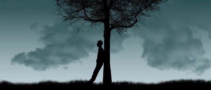 让风穿过树梢 （中英双语）