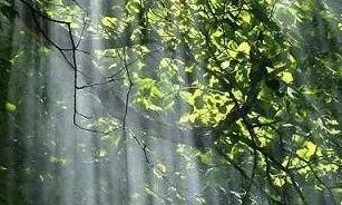 它们是夜空星与星之间看不见的尘埃