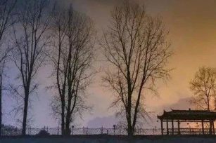 ​我将满是尘土的脸埋进去，扑进阔别已久的故乡
