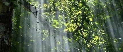 它们是夜空星与星之间看不见的尘埃