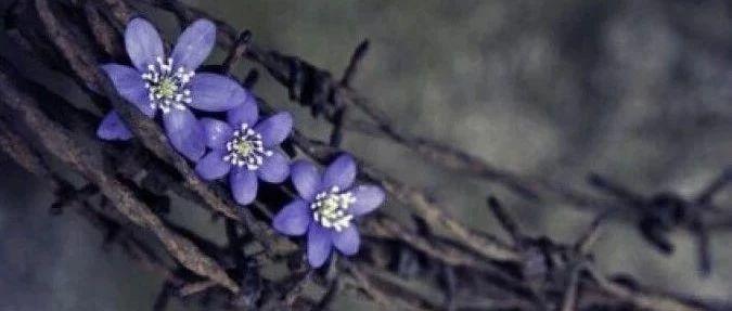 见证 | 真正的祝福