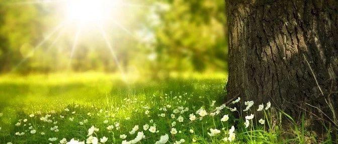 向着那丛奇迹般燃烧的荆棘，如同你曾经的青春