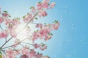 平安！在不安的新年