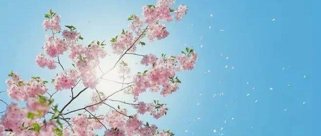 平安！在不安的新年