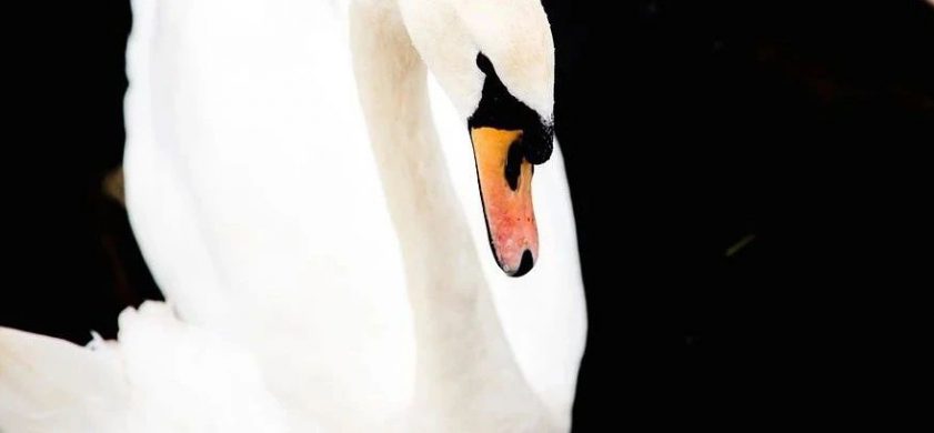 在黑夜里，我看见你