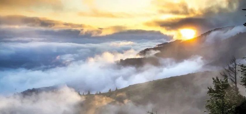 柔软是我给你的礼物