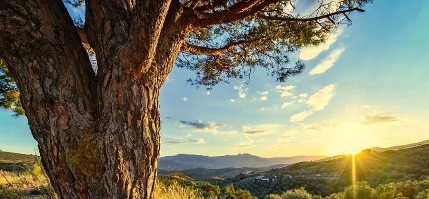 诗歌欣赏 | 《有限无限》