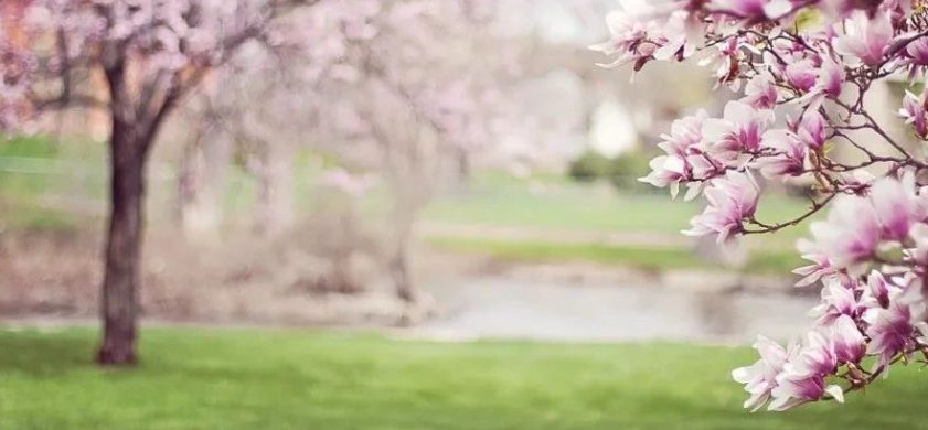 阳光如同明亮的哨子