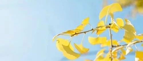 如果你喜欢上帝