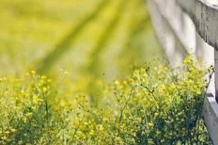 感悟 | 行善与信主