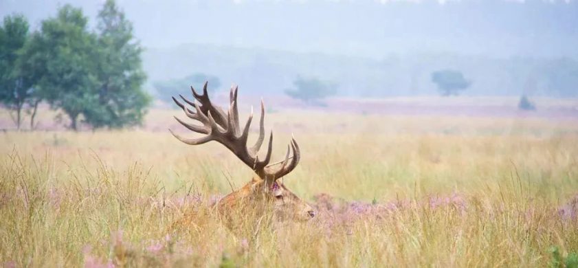 两首秋天的十四行诗