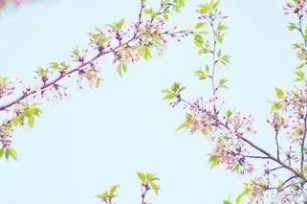 吸尘器的提醒