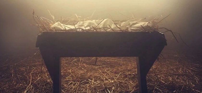 我不该哭着来到人间