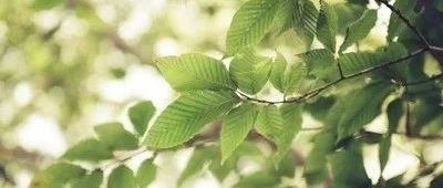 上帝让我离开，我就跟祂走，我不怕