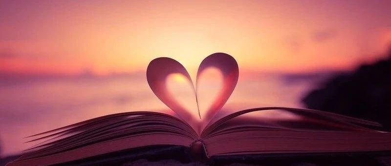 你为何对我这么好