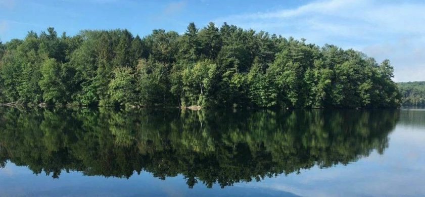 女人是蓝色的光