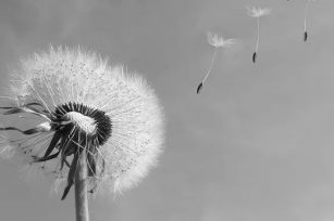 穷人日记（完）