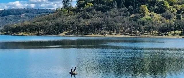 摄影 | 纳帕谷的春天